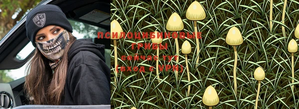 ALPHA PVP Михайлов