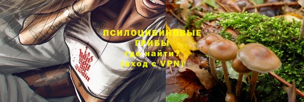 хмурый Киренск