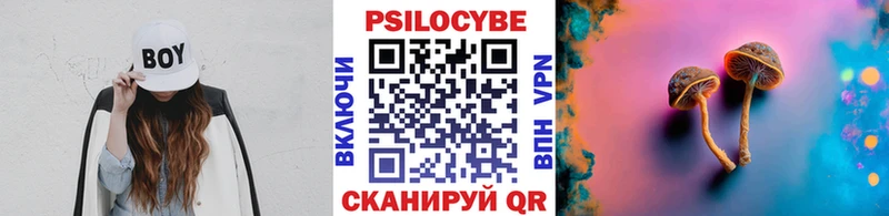 наркошоп  Крымск  Псилоцибиновые грибы Cubensis 
